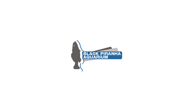 black-piranha11.jpg - Կայքի ձևավորում և պատրաստում