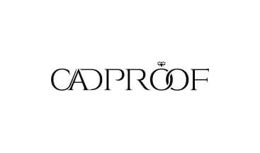 cadproof1.jpg - Կայքի ձևավորում և պատրաստում
