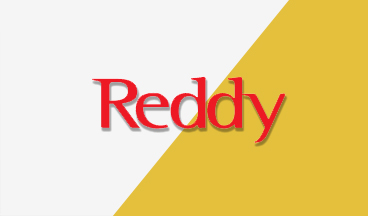 Reddy - Կայքի ձևավորում և պատրաստում